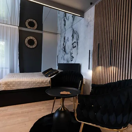 Premium Przy Zamku Apartment Olsztyn (Warmian-Masurian)